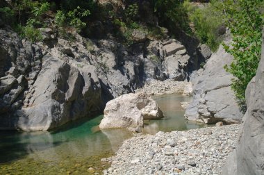 Dağ Nehri.