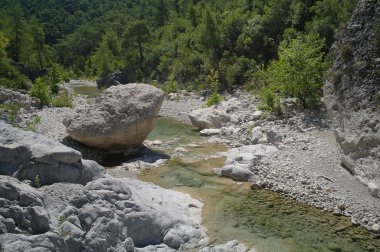 Dağ Nehri.