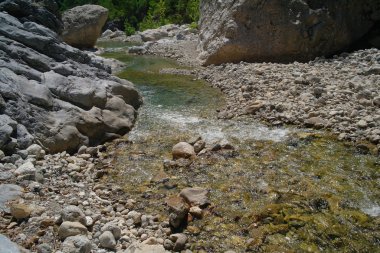 Dağ Nehri.