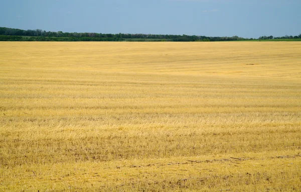 Stubble field with panoramic view — Stock Photo, Image