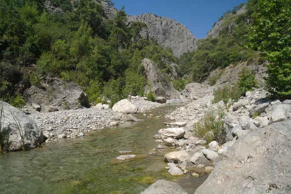 El río de la montaña. —  Fotos de Stock