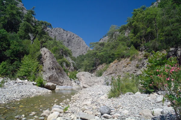 El río de la montaña. — Foto de Stock