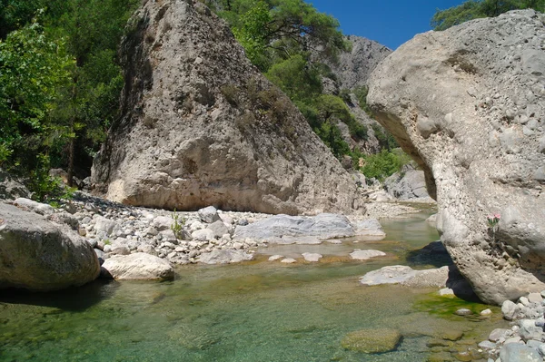 stock image The mountain river.