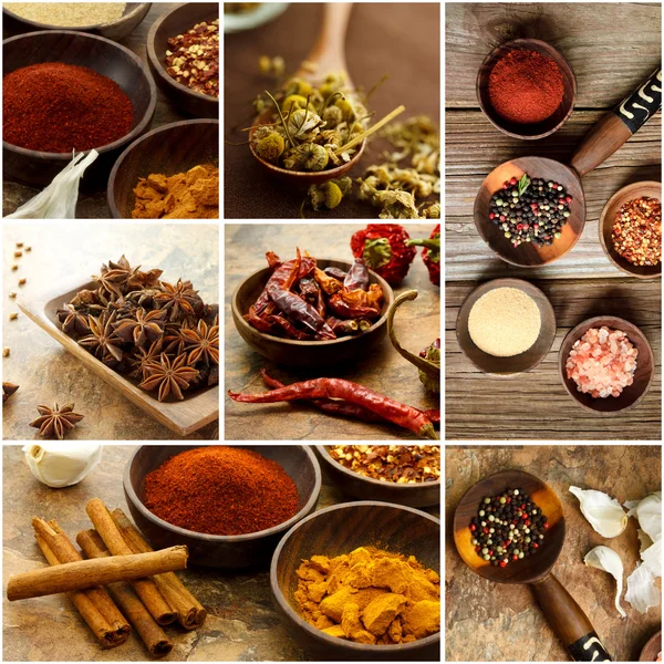 Spice collage — Stockfoto