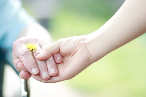 Young and senior women holding hands — Stock Photo, Image
