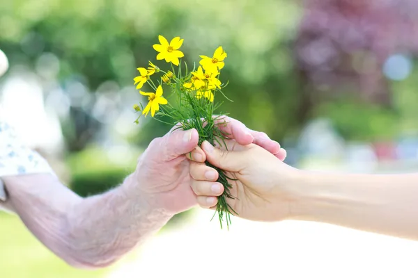 Δίνοντας κίτρινα λουλούδια σε ανώτερους γυναίκα — Φωτογραφία Αρχείου