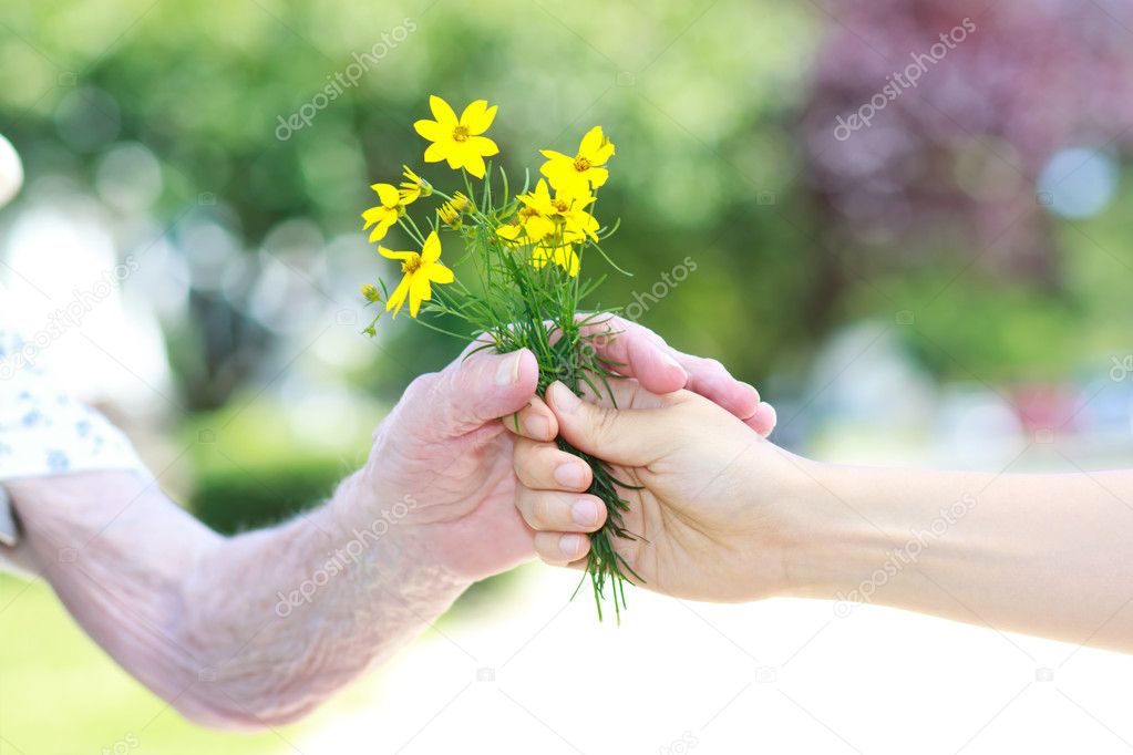 Giving yellow flowers to senior woman