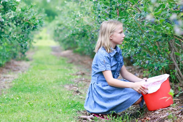 Blonde Girl Picking Blueberries — Stock Photo, Image