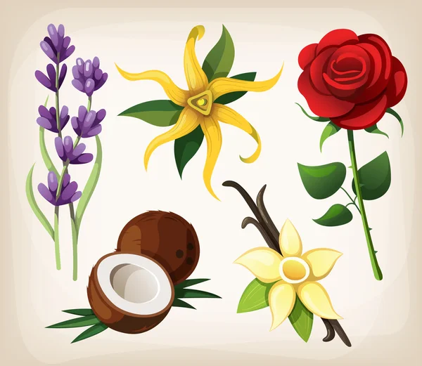 Conjunto de sabores de flores perfumadas — Vetor de Stock