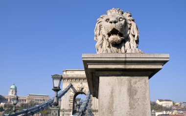 Guardian lions budabest zinciri köprüsünde