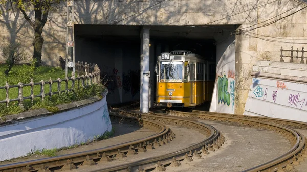 Budapest Tram — Stock Photo, Image