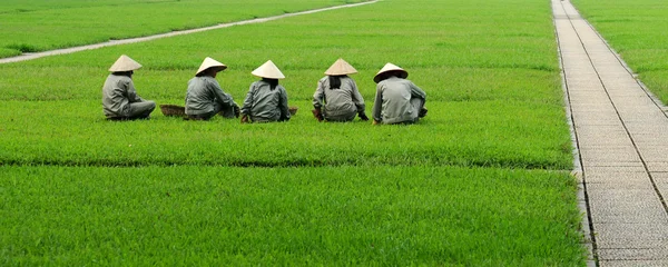 Vietnamesiska arbetstagare i hanoi, vietnam, Asien — Stockfoto