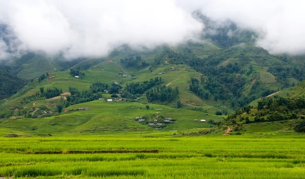 stock image Vietnamese Landscape