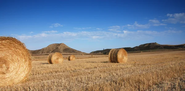 Field of haybales — Stock Photo, Image