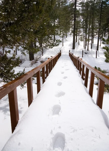 stock image Footprints on snow