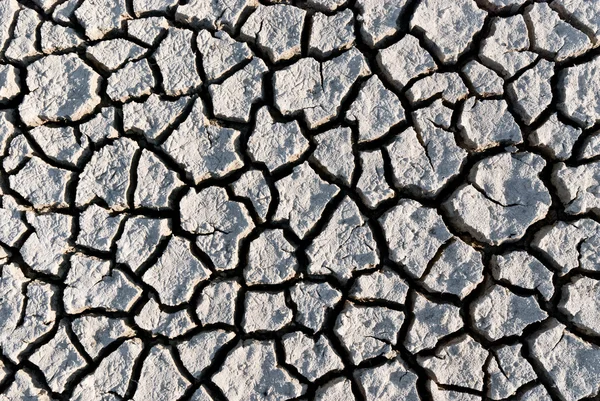 Global warming, dry cracked land — Stock Photo, Image