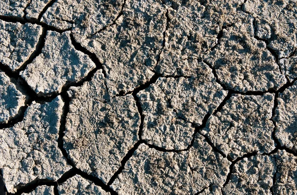 Global warming,dry cracked land — Stock Photo, Image