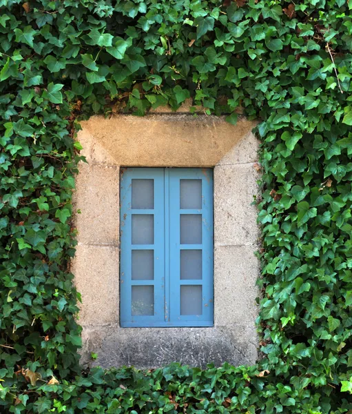 Jendela biru tertutup — Stok Foto