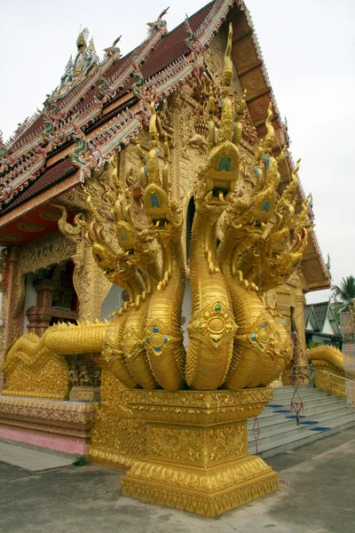 Naga mimo chrám — Stock fotografie