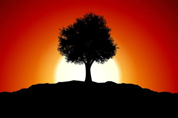 Puesta de sol con silueta de árbol — Archivo Imágenes Vectoriales