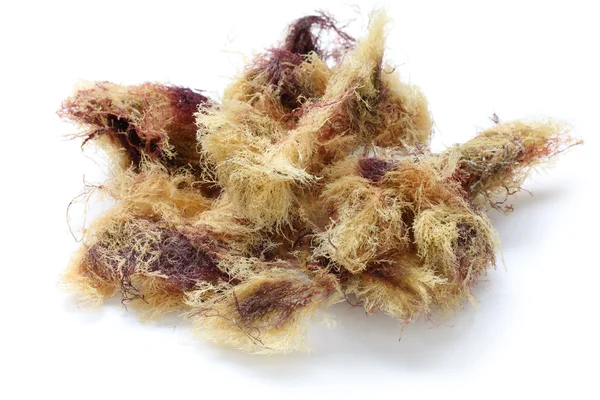 Сушеные тенгузские водоросли — стоковое фото
