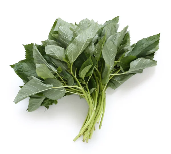 Molokhia, egyptian spinach — Stock Photo, Image