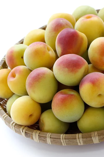 Mogna japansk aprikos frukter — Stockfoto