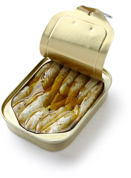 Canned sardines in oil — Stock Photo, Image