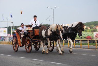 atlar ve waggon illüstrasyon