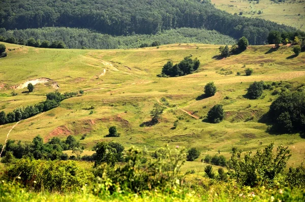 Paisaje — Foto de Stock