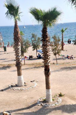 Avuç Ege deniz (Akdeniz Beach)