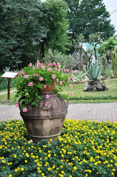 Jardín botánico Cluj — Foto de Stock