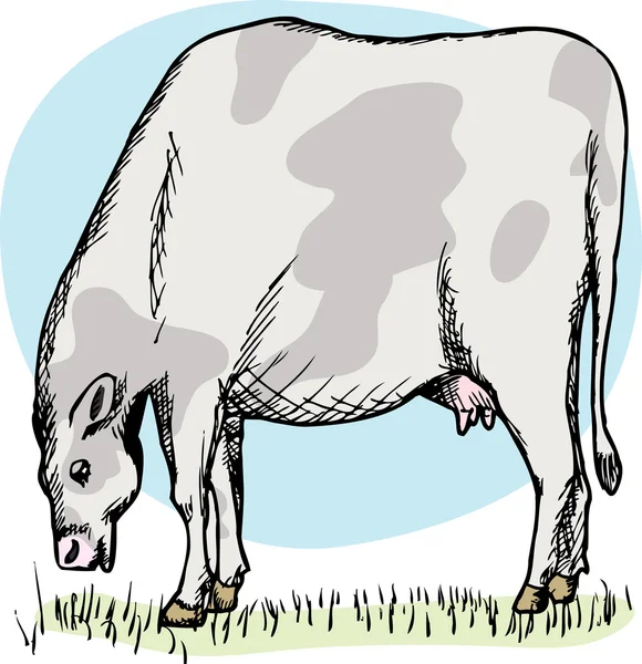 Λίπος αγελάδα βοσκή — Διανυσματικό Αρχείο