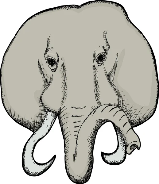 Visage d'éléphant — Image vectorielle