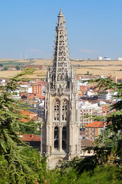 Gothic Pinnacles of Burgos Cathedral. Spain — Stock Photo, Image