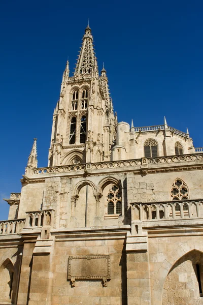 Burgosi katedrális Dél arca. Spanyolország — Stock Fotó