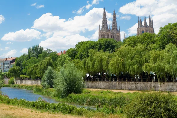 Arlanzon River with Gothic Cathedral in Background, Burgos. Spain — Stock Photo, Image