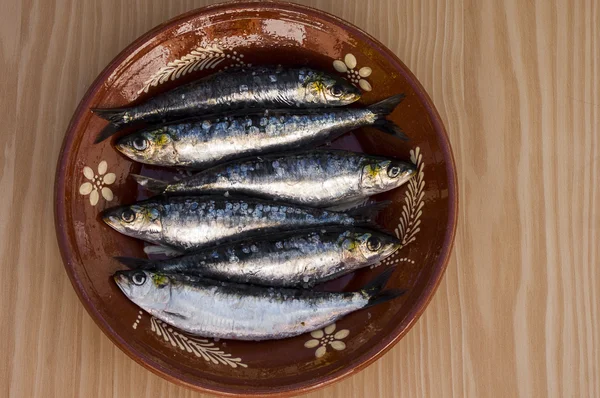 stock image Sardines