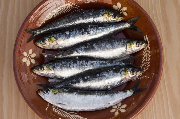 stock image Sardines