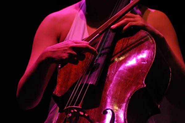 El violonchelista actúa en directo en el escenario —  Fotos de Stock