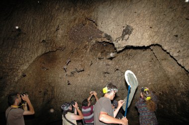 A group of scientists in a cave clipart