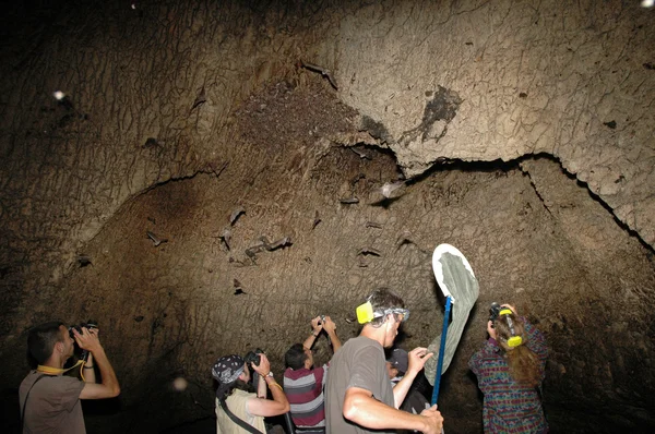 一群科学家在一个山洞里 — 图库照片