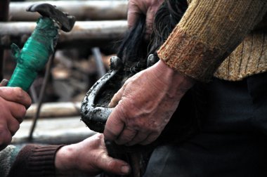A farrier blacksmith hooves a horseshoe clipart