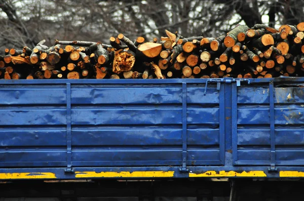 Tronchi di legno su camion rimorchio di taglio — Foto Stock