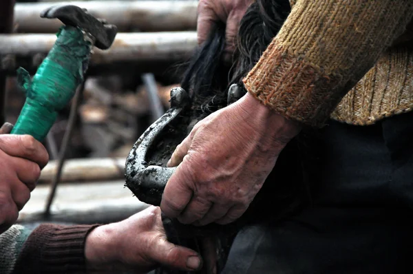 Un herrero herrero engancha una herradura — Foto de Stock