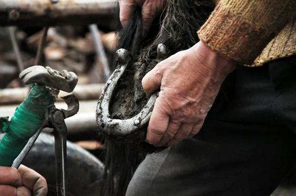 stock image A farrier blacksmith hooves a horseshoe