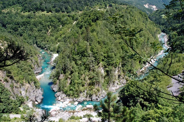 Canyon Tara, Montenegro — Fotografia de Stock
