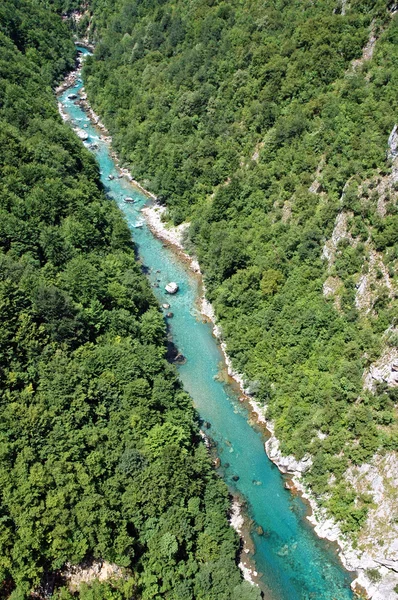 Tara canyon, Montenegro — Stockfoto