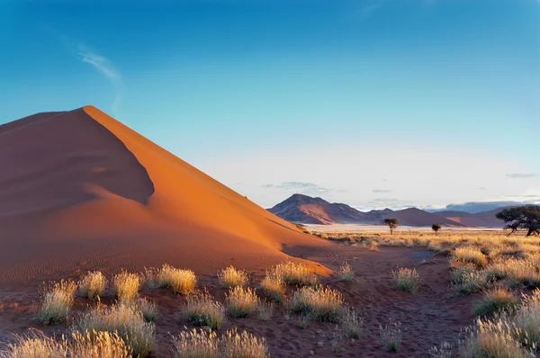 美しい夕焼け砂丘 — ストック写真