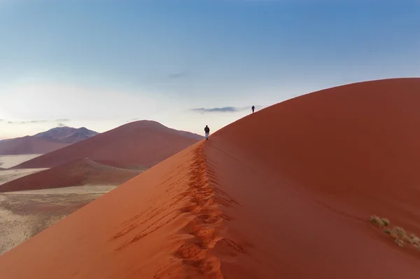 Wandelen op prachtige zonsopgang duinen — Stockfoto